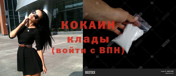 твердый Алексин