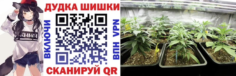 наркота  omg tor  МАРИХУАНА VHQ  Макушино 